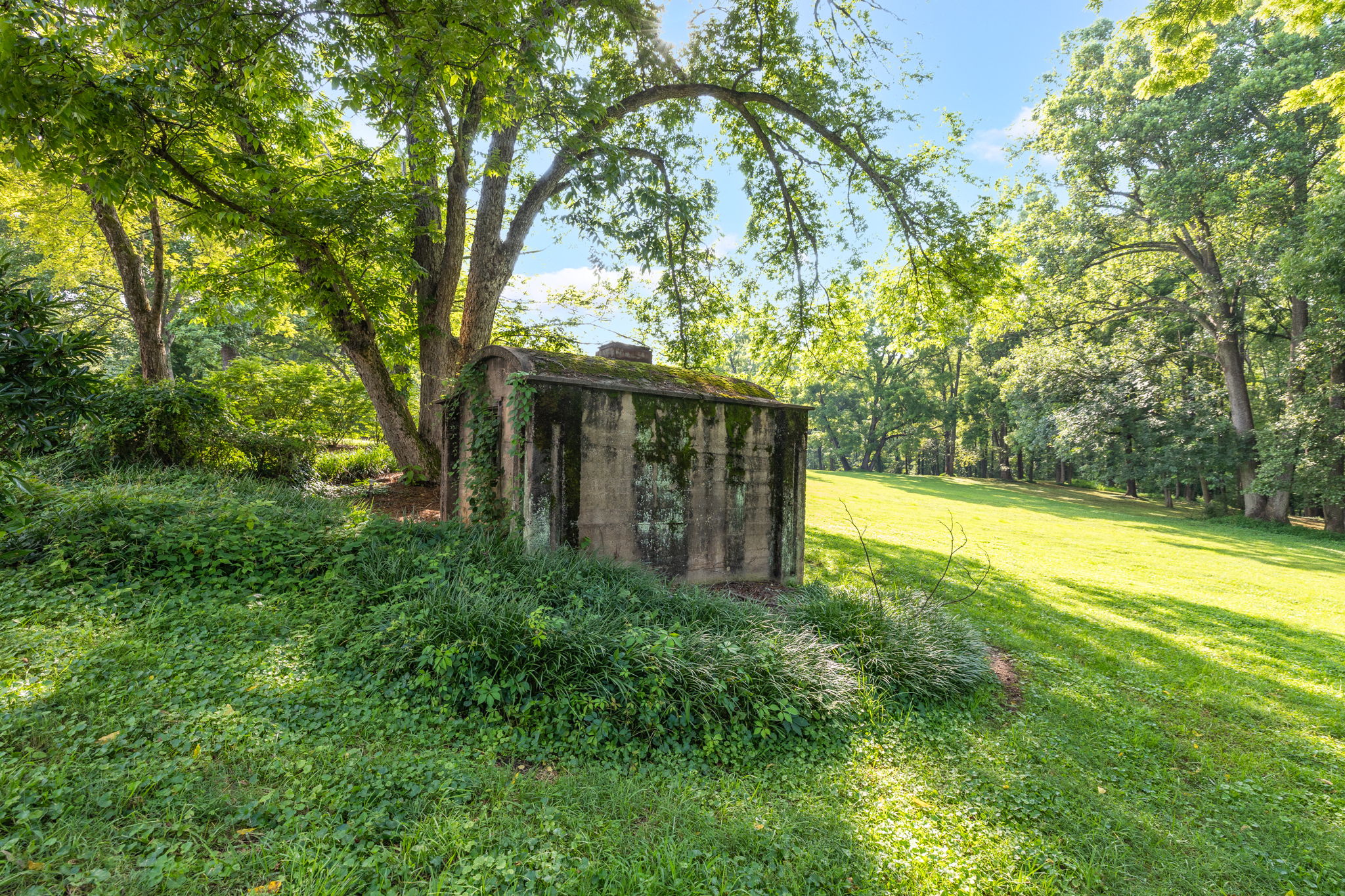 1700 Richardson Dr-85