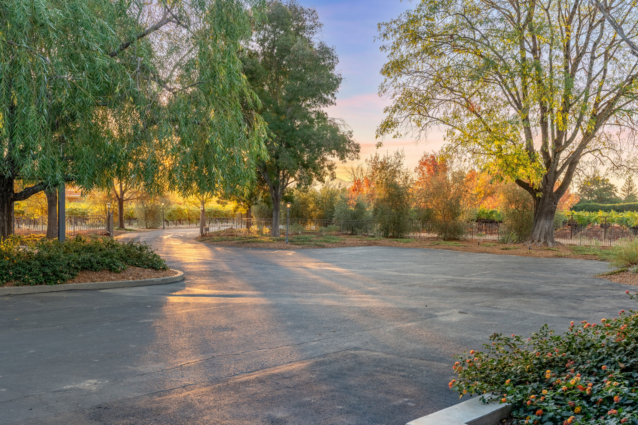  Photo 52