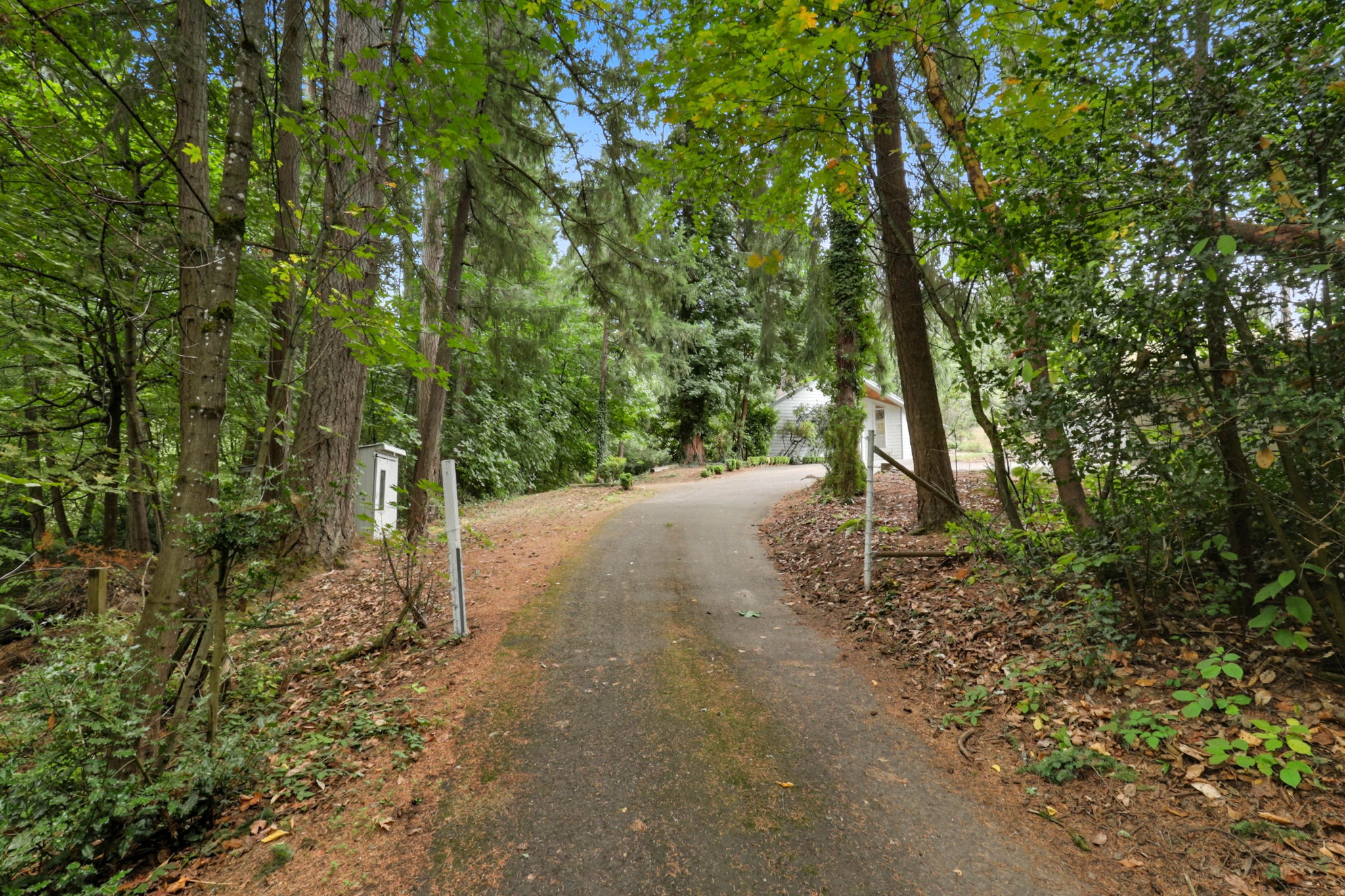 Photo 49