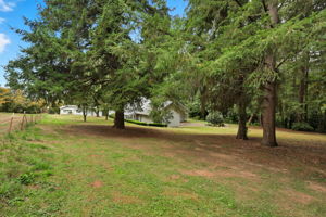  Photo 39