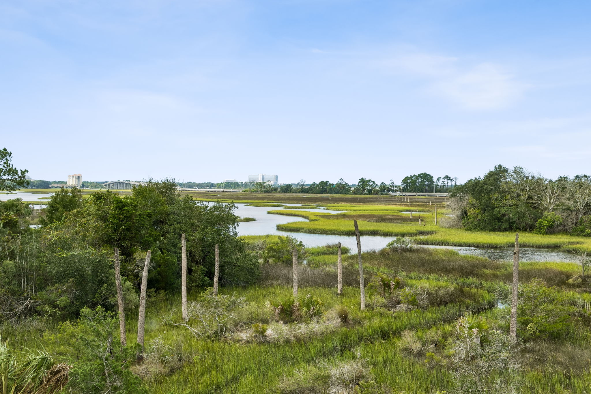Marsh Views
