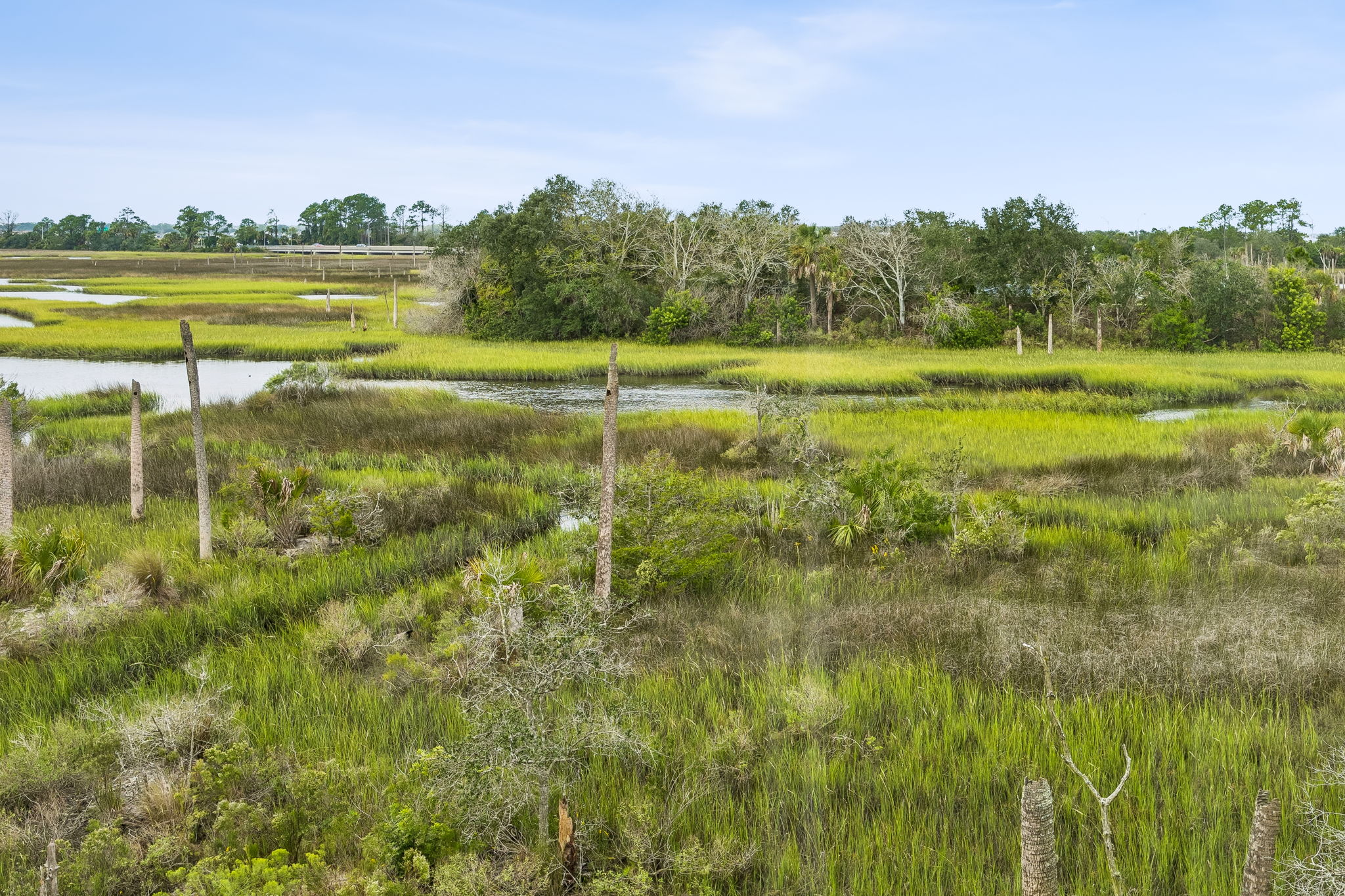 Marsh Views