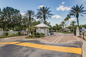 The Palms