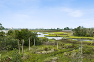 Marsh Views