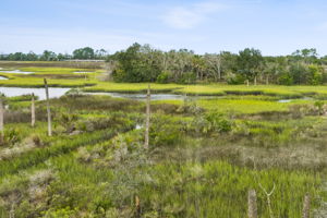 Marsh Views