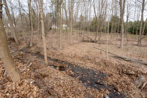 1702 Country Club Rd, Middletown, CT 06457, USA Photo 8