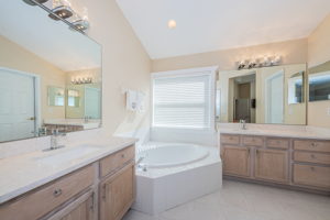 Master Bathroom1c-2