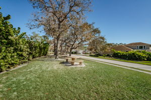 Grassy Pointe6