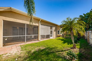 Backyard2-3