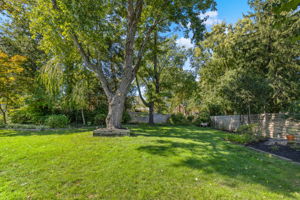 Landscaped and fenced backyard