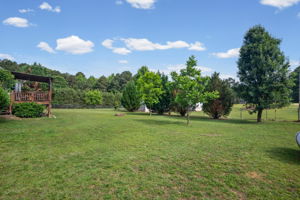  Photo 37