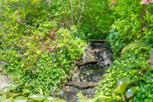  Photo 51