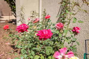  Photo 49