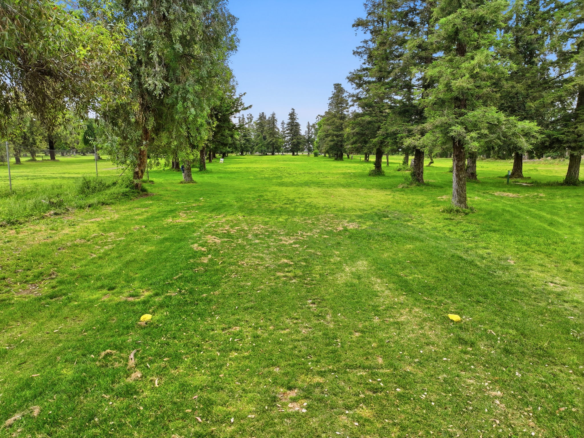 034_F8_17051 Escalon-Bellota Rd