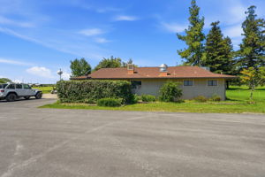 053_F8_17051 Escalon-Bellota Rd