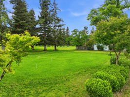 031_F8_17051 Escalon-Bellota Rd
