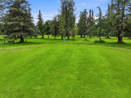 035_F8_17051 Escalon-Bellota Rd