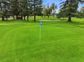 036_F8_17051 Escalon-Bellota Rd