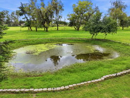 037_F8_17051 Escalon-Bellota Rd
