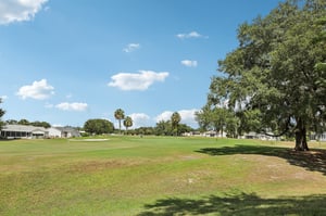 Lilly Ln-S2409-031.jpg