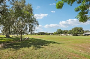 Lilly Ln-S2409-032.jpg