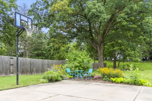  Photo 38