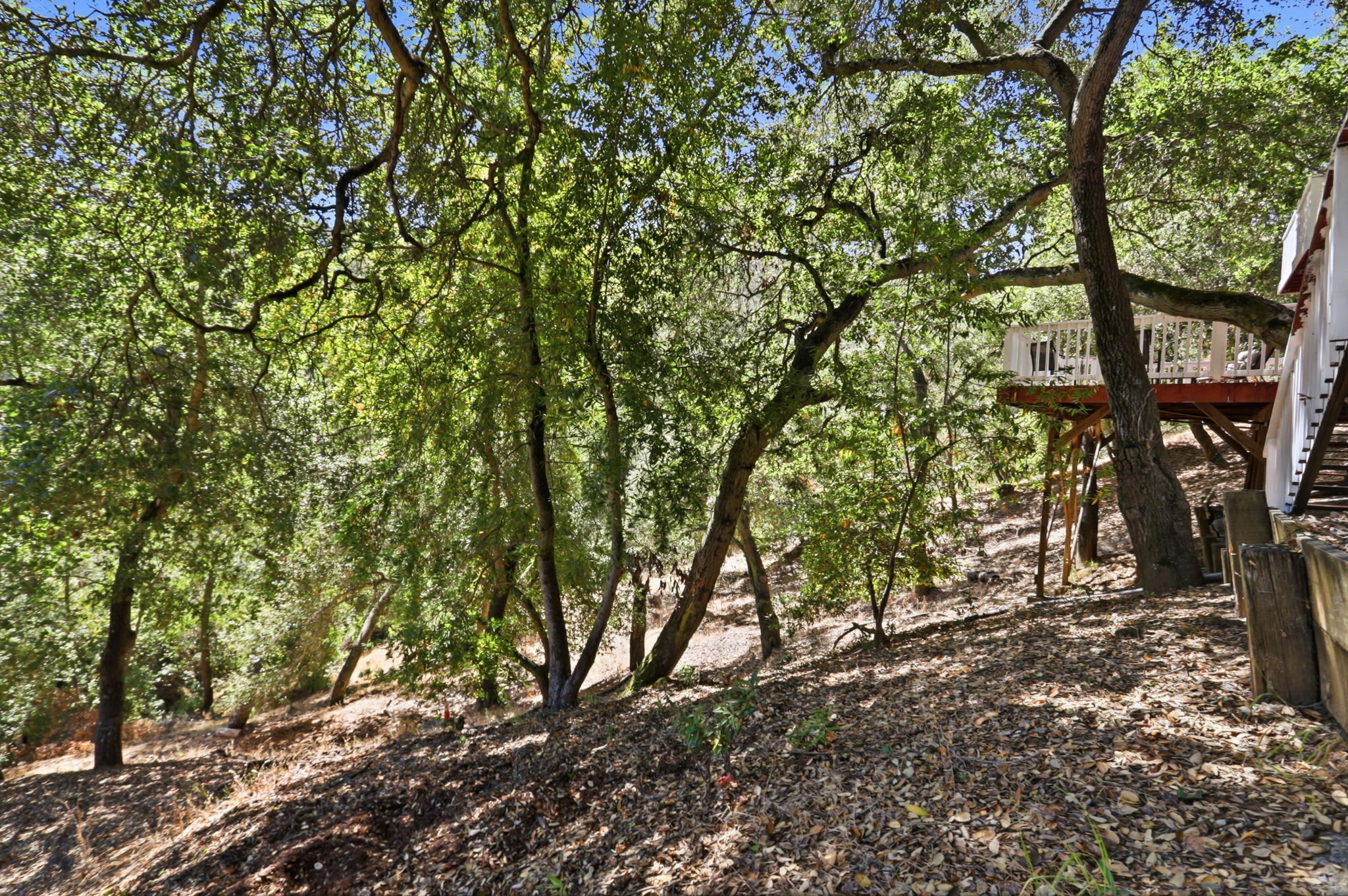 058_F8_17076 Shady Ln