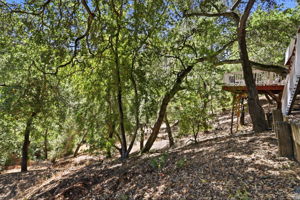 058_F8_17076 Shady Ln