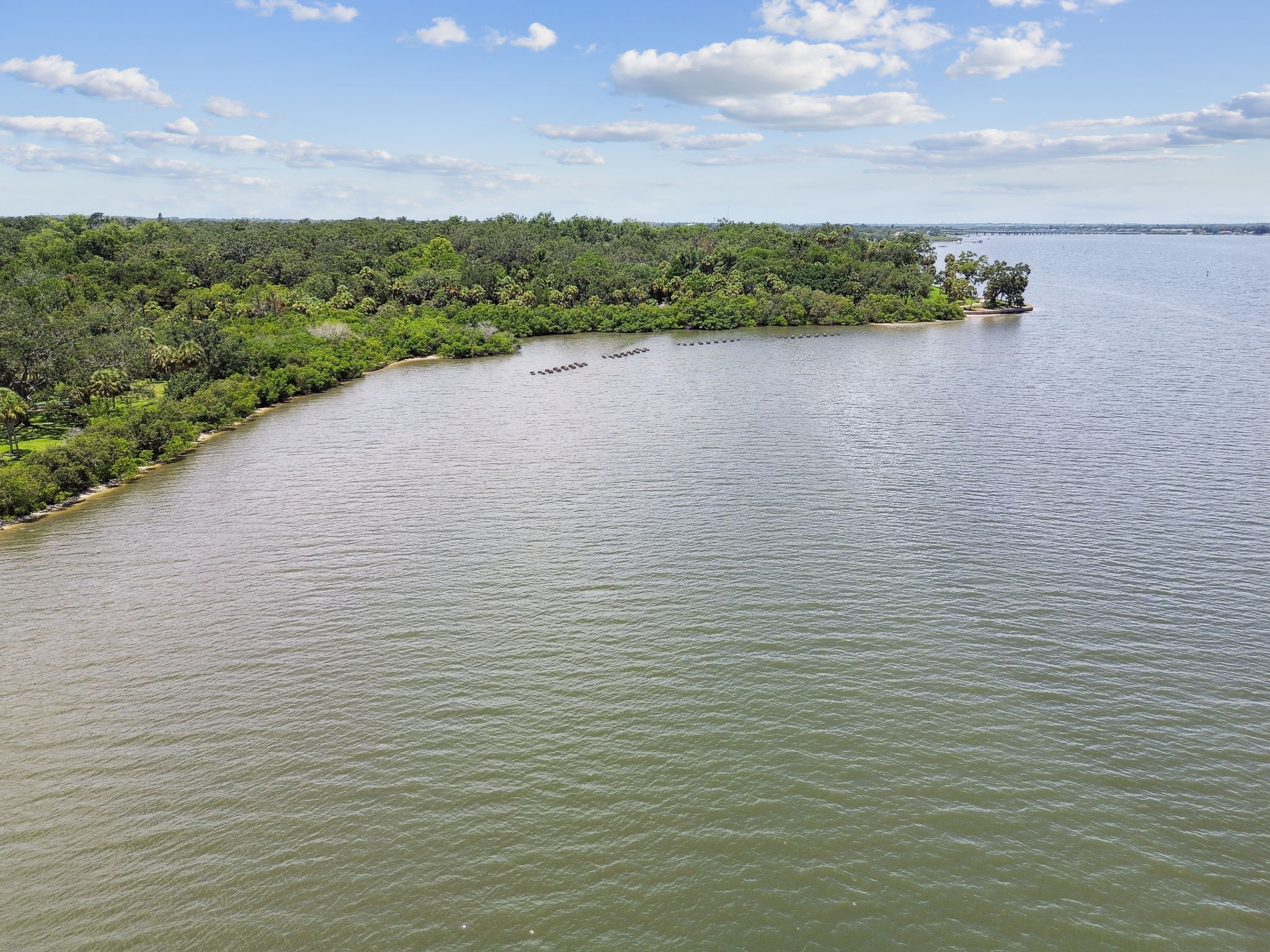 DJI_0551