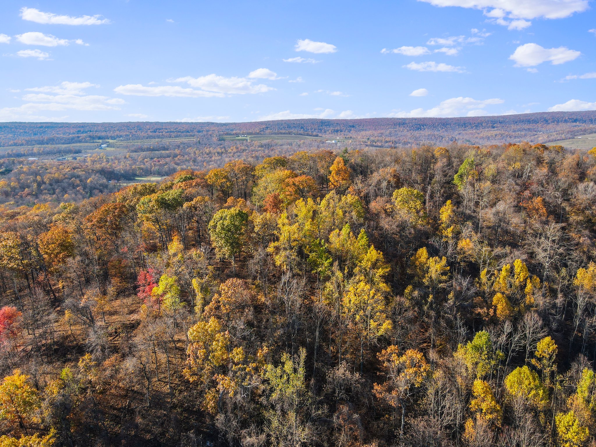 1709 Cold Springs Rd, Fairfield, PA 17320 Integrity Imaging Solutions LLC