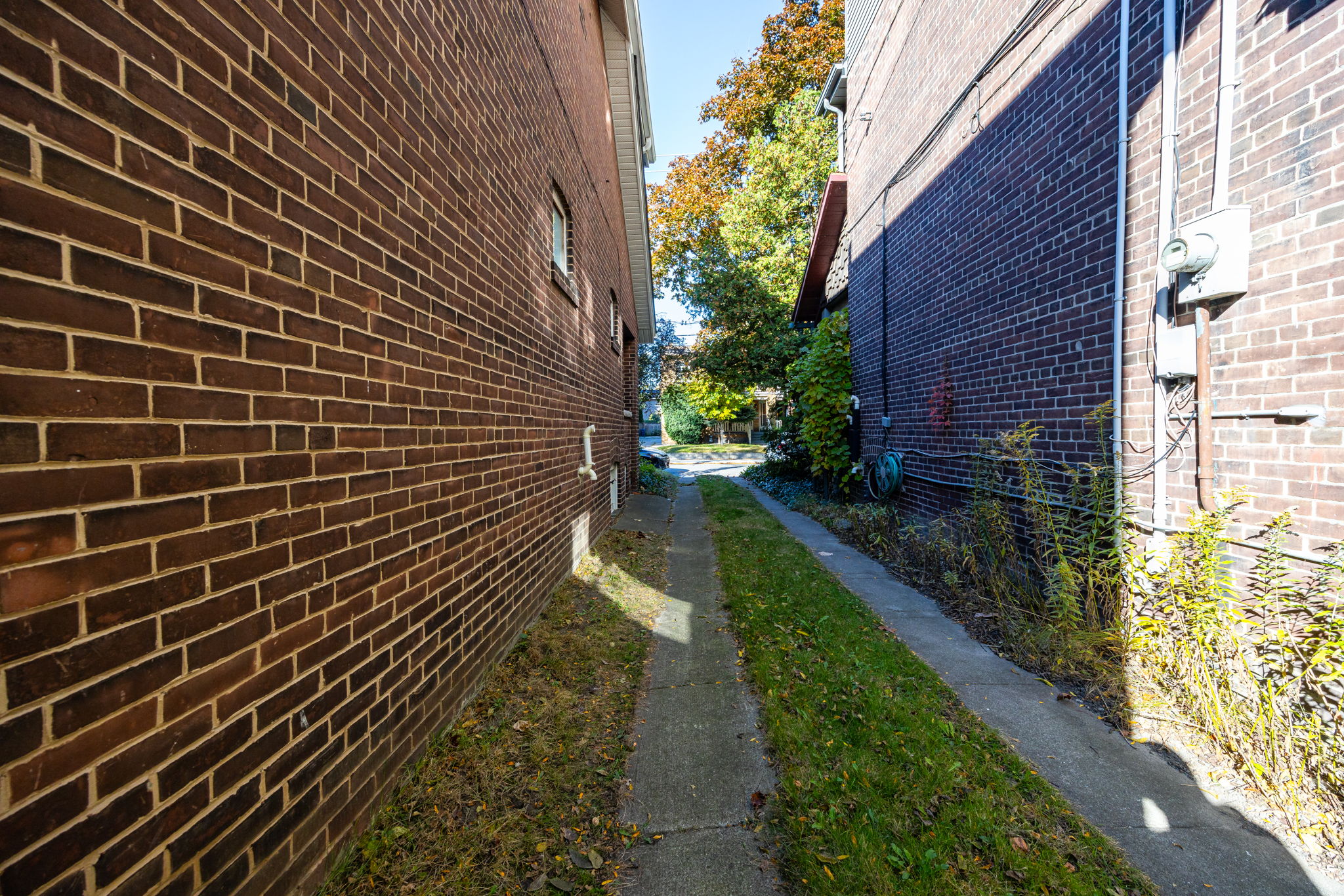 Toronto property showcase — delivered property photograph 51