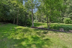 Fetter Ln-2406-048.jpg