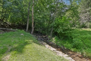Fetter Ln-2406-049.jpg