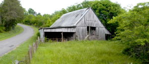  Photo 45