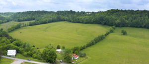  Photo 48