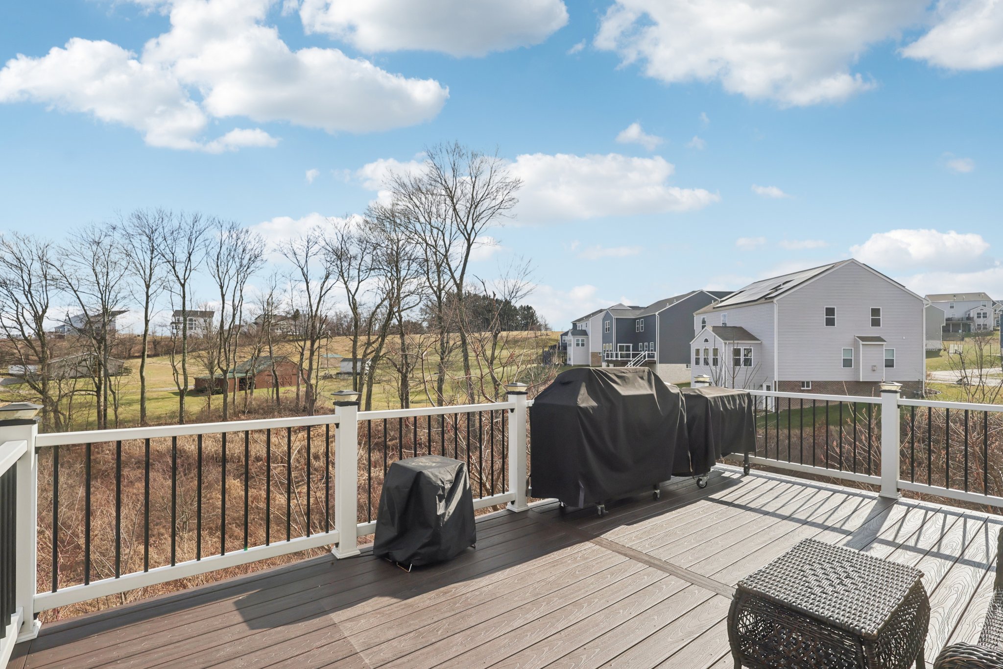 Kruger Cir-S0703-037.jpg