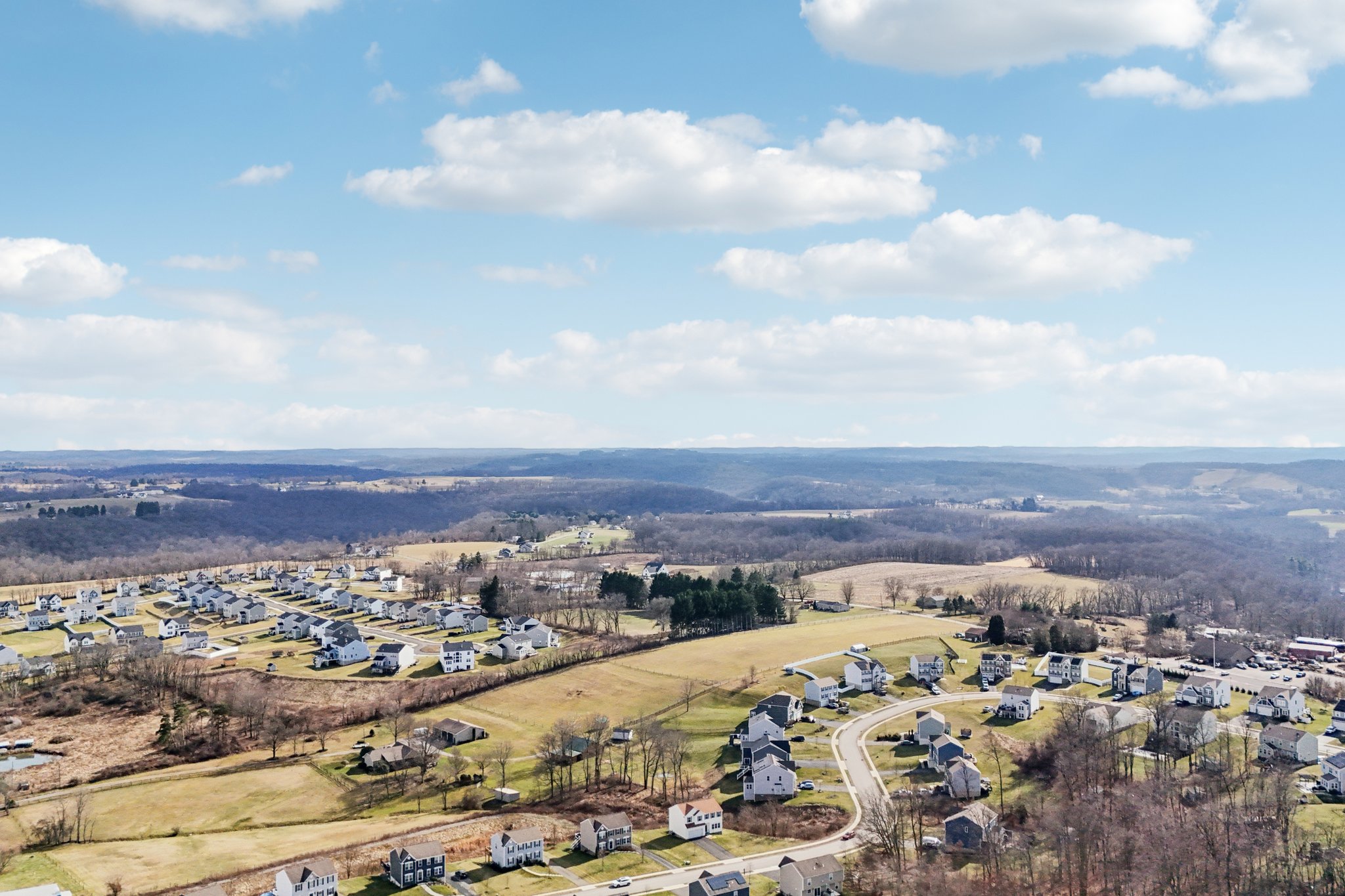 Kruger Cir-S0703-045.jpg