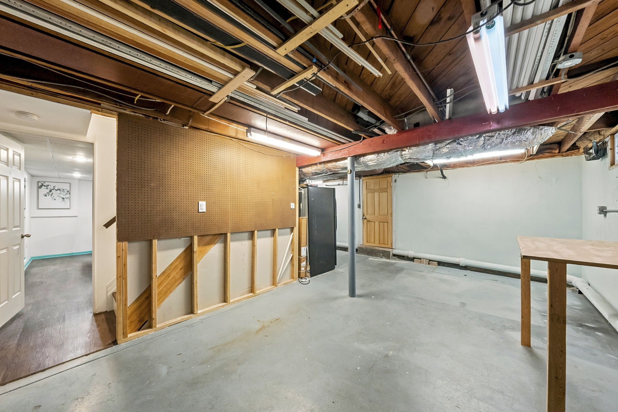Unfinished Basement Section-Door to Outside
