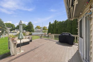 Large Level Backyard