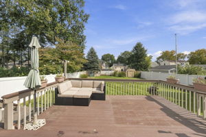 Large Level Backyard