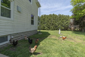  Photo 35