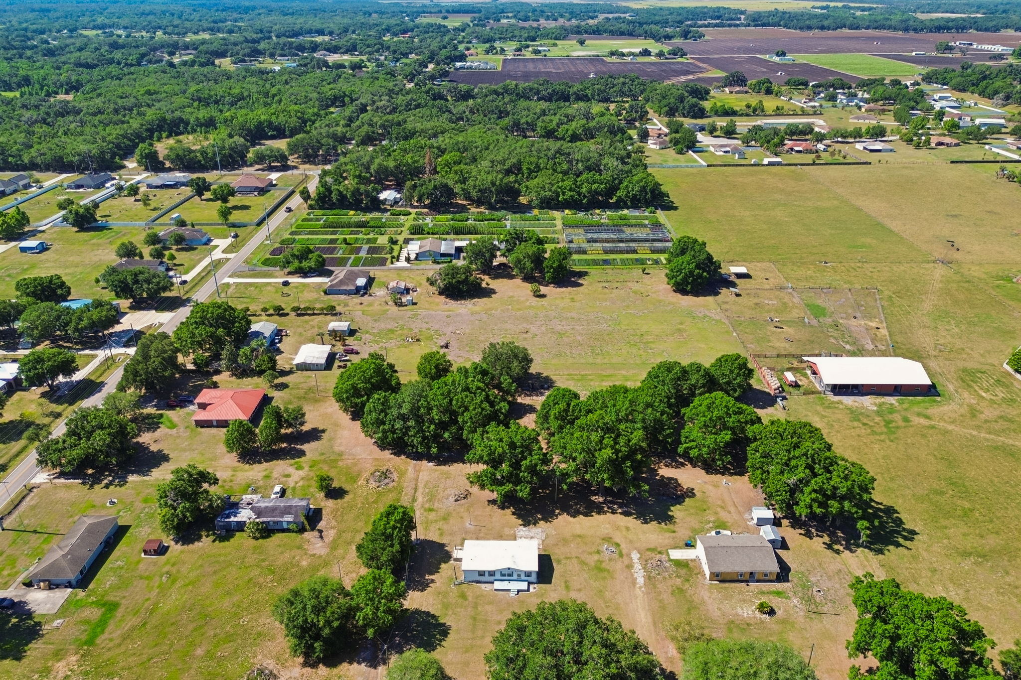 DJI_0061