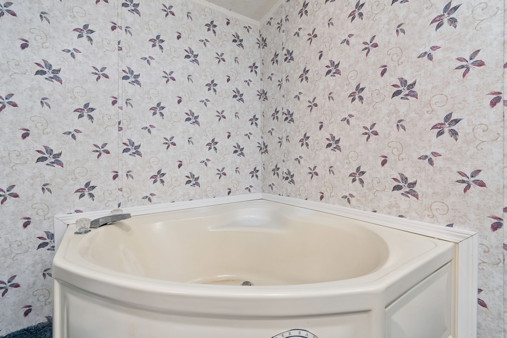 DSC_5434