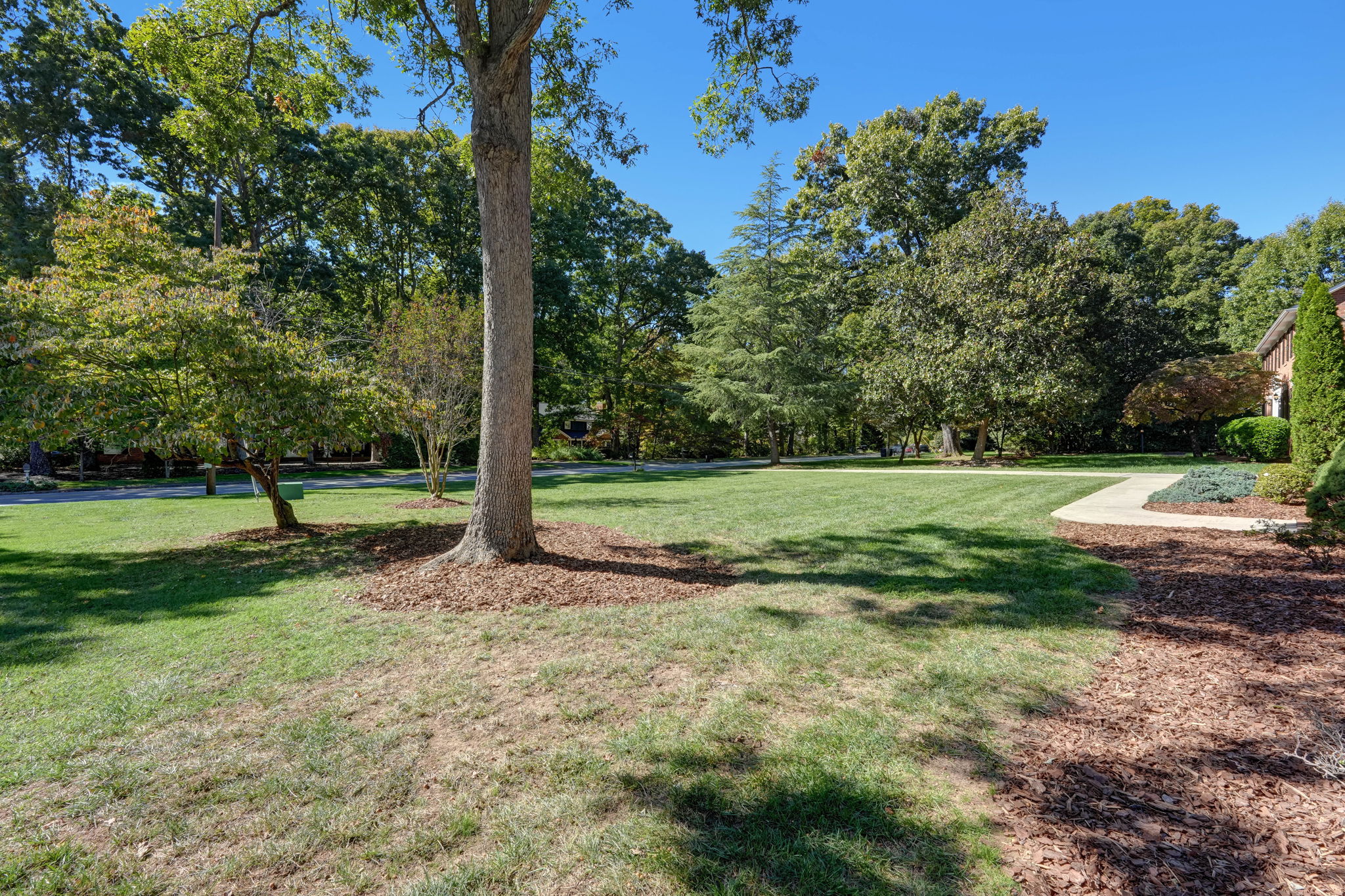 Front Yard