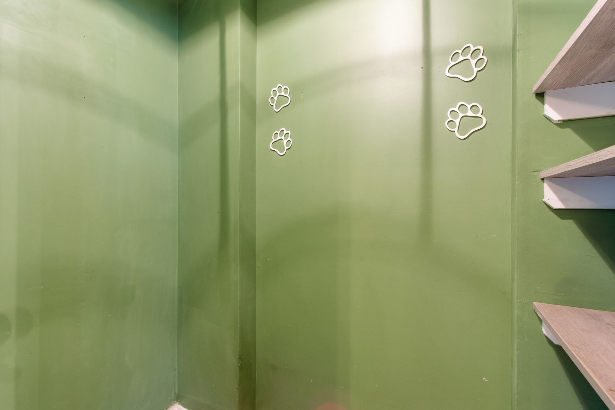  Photo 24