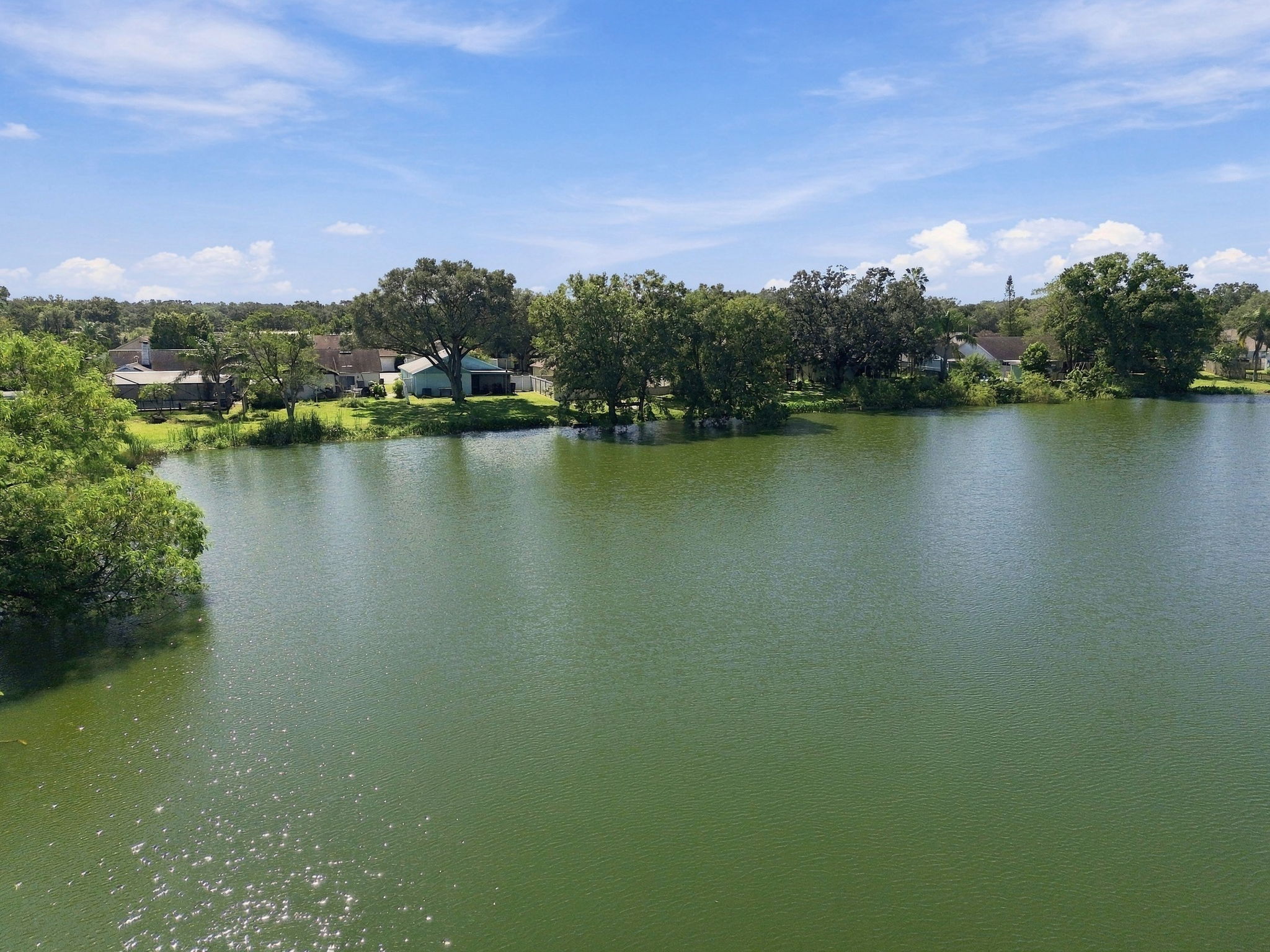 DJI_0466