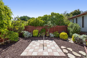  Photo 64