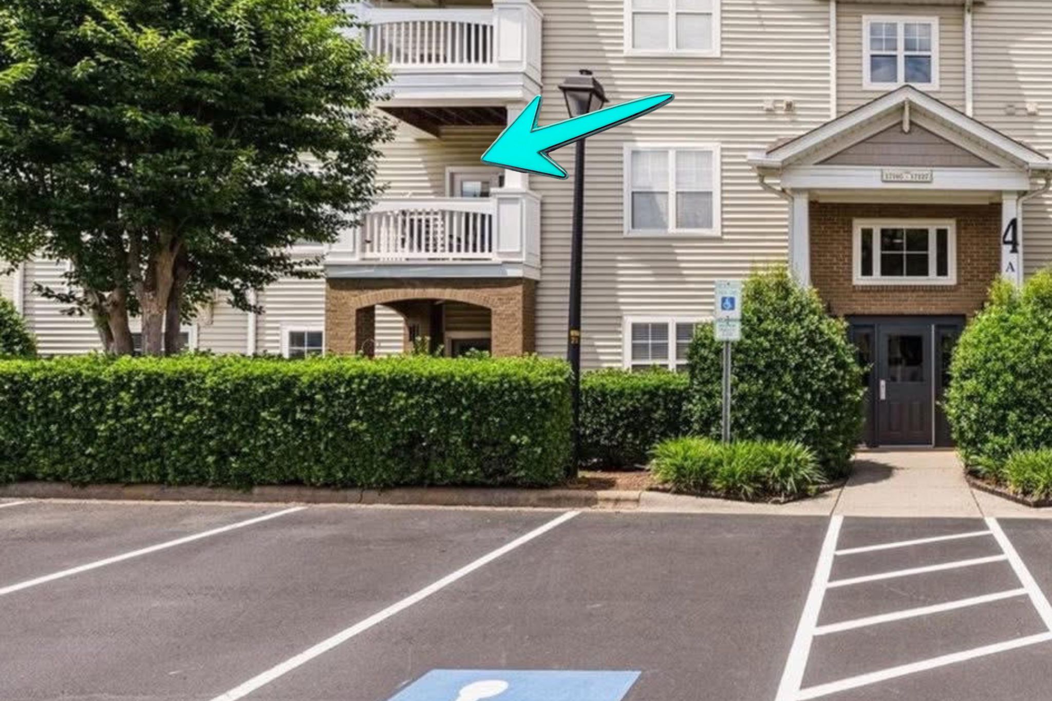 Summer view: large tree adds privacy to balcony