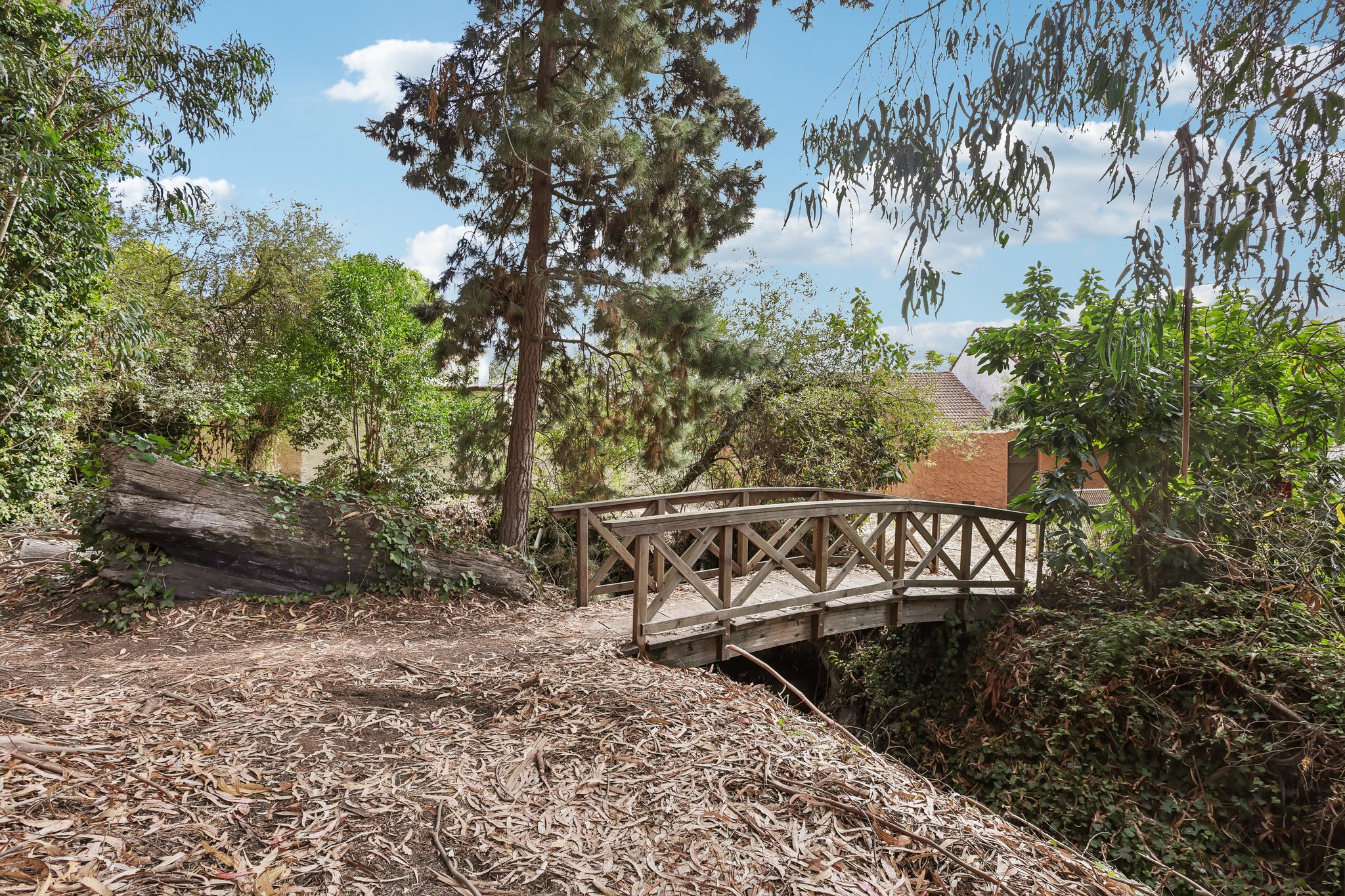 Escalona Dr-1609-902.jpg