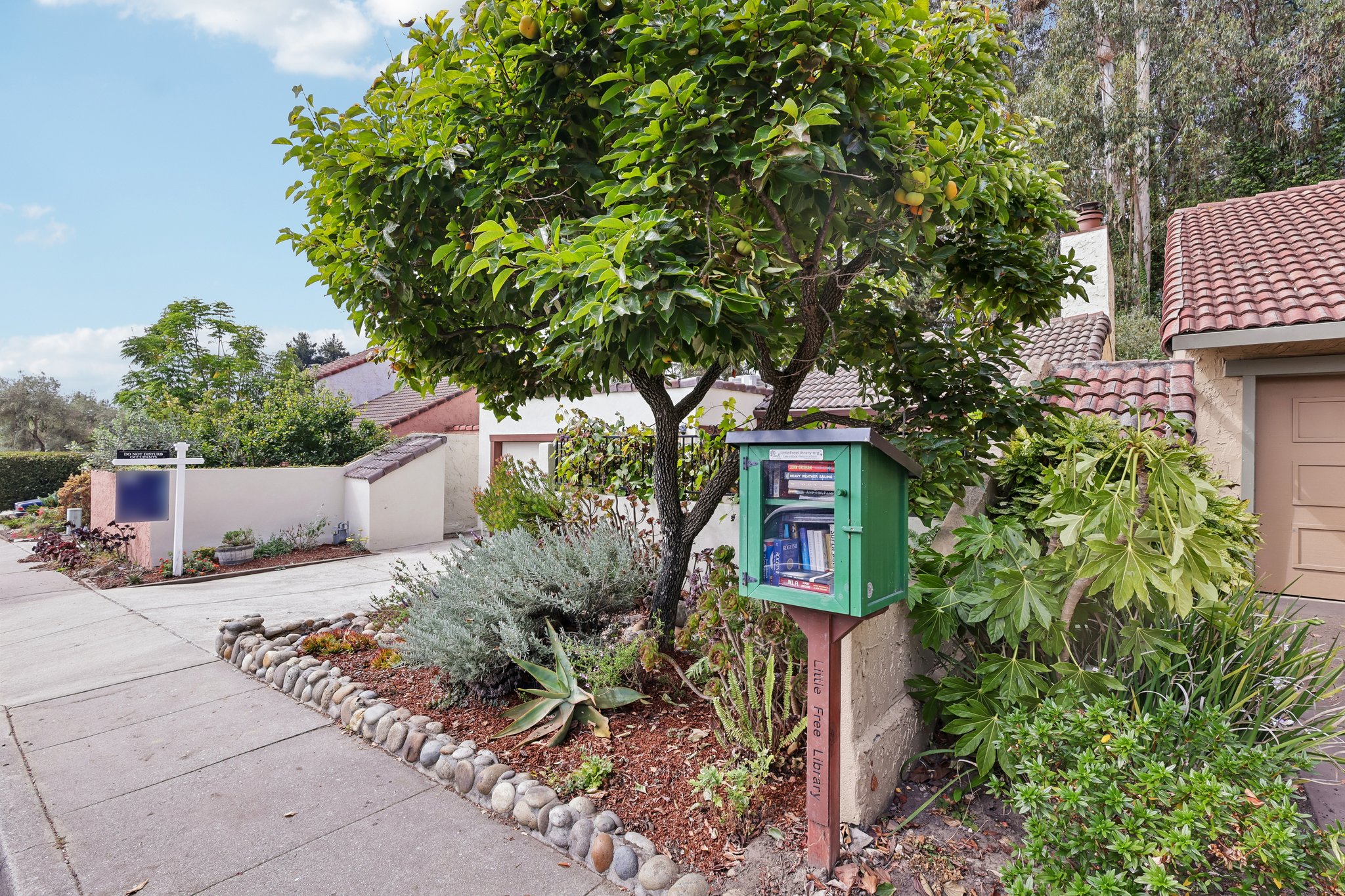 Escalona Dr-S1609-005.jpg